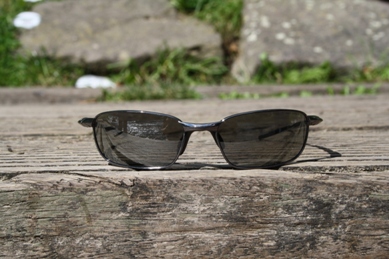 Punkys Sonnenbrille mit verschiedenen Sonnenreflektionen